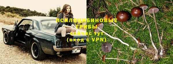 молекула духа Алексеевка