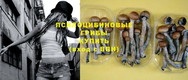 молекула духа Алексеевка