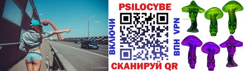 Галлюциногенные грибы Psilocybe блэк спрут маркетплейс Кыштым